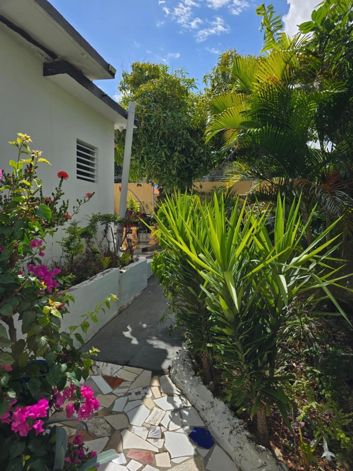 Paradise Palms Jamaica Vacation Rental มอนเทโกเบย์ ภายนอก รูปภาพ