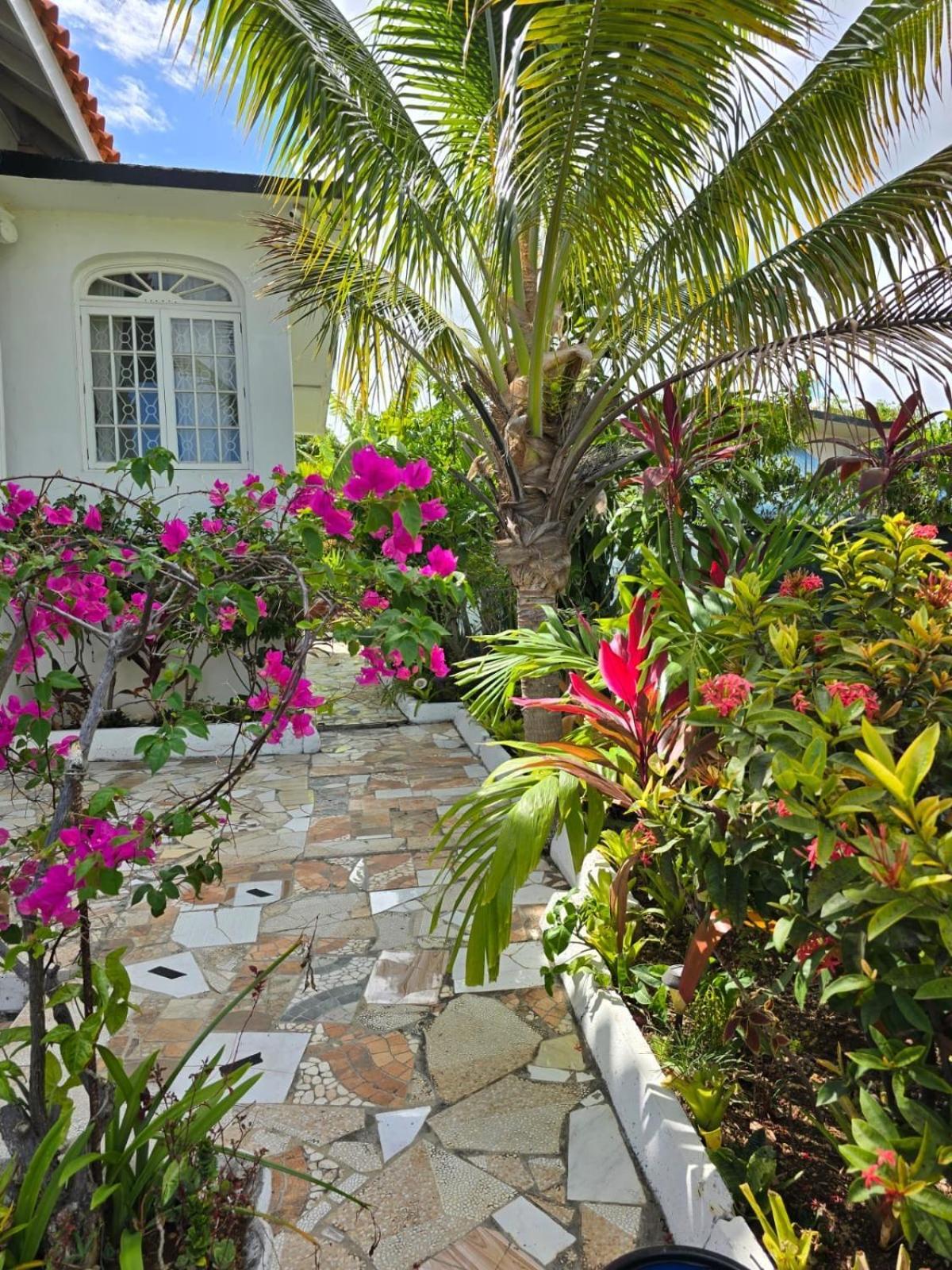Paradise Palms Jamaica Vacation Rental มอนเทโกเบย์ ภายนอก รูปภาพ